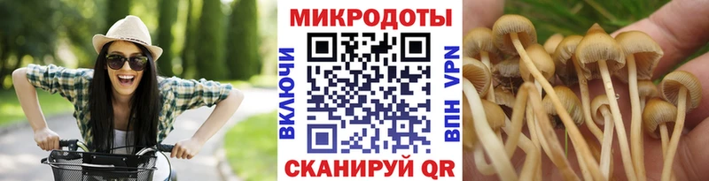 Псилоцибиновые грибы мухоморы  OMG зеркало  Дигора 
